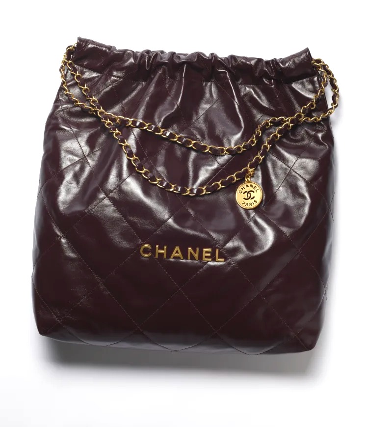TÚI CHANEL 22 GOLD METAL DARK BROWN BUCKLE