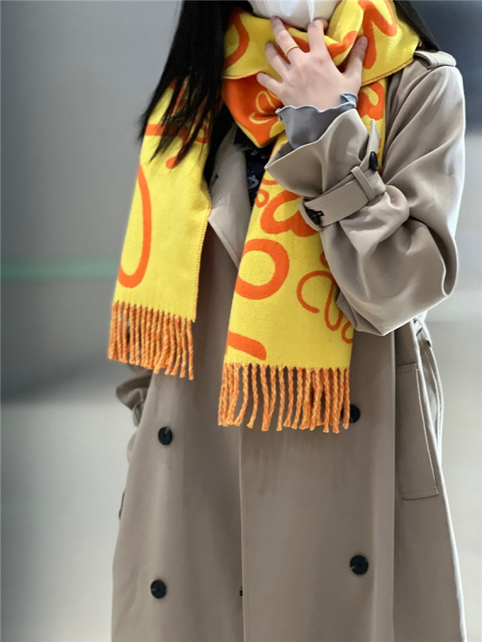 KHĂN LOEWE Cashmere scarf