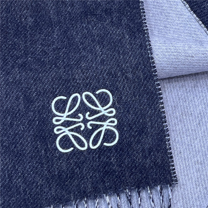 KHĂN LOEWE Cashmere scarf