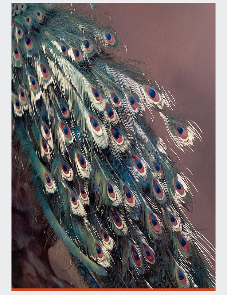 Tranh khắc đồng Thế Ngoại Đào Nguyên bản giới hạn(Liên hệ để biết giá)