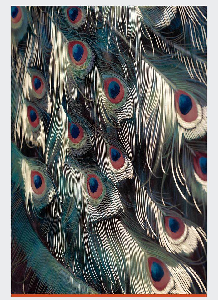 Tranh khắc đồng Thế Ngoại Đào Nguyên bản giới hạn(Liên hệ để biết giá)