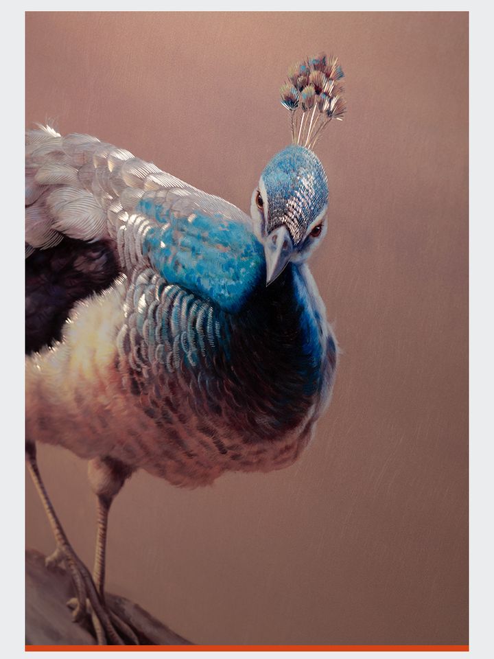 Tranh khắc đồng Thế Ngoại Đào Nguyên bản giới hạn(Liên hệ để biết giá)