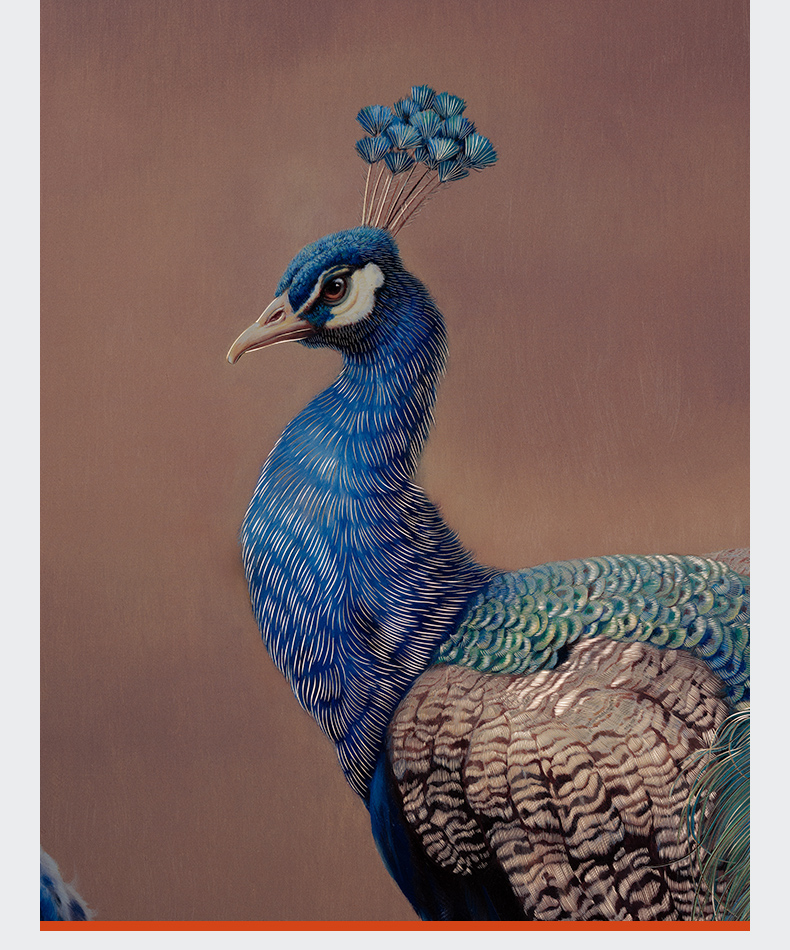 Tranh khắc đồng Thế Ngoại Đào Nguyên bản giới hạn(Liên hệ để biết giá)