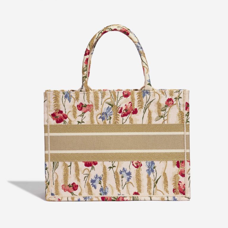 TÚI DIOR Book Tote Small Canvas Multicolour