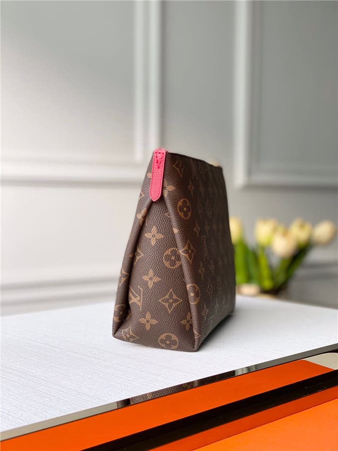 Túi LOUIS VUITTON Pouch handbag
