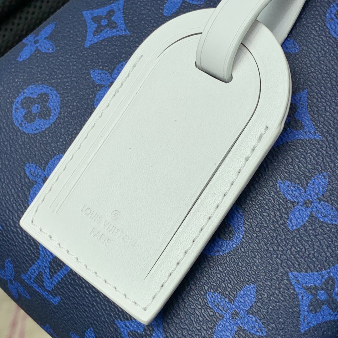 BALO LOUIS VUITTON APOLLO MONOGRAM ECLIPSE Leather Backpack-Blue
