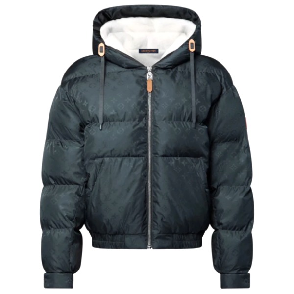 ÁO LOUIS VUITTON DOWN JACKET TOP QUALITY AAA UNISEX