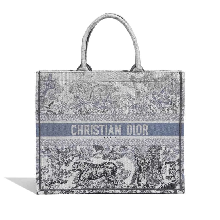 TÚI Dior Book Tote Large Canvas Blue
