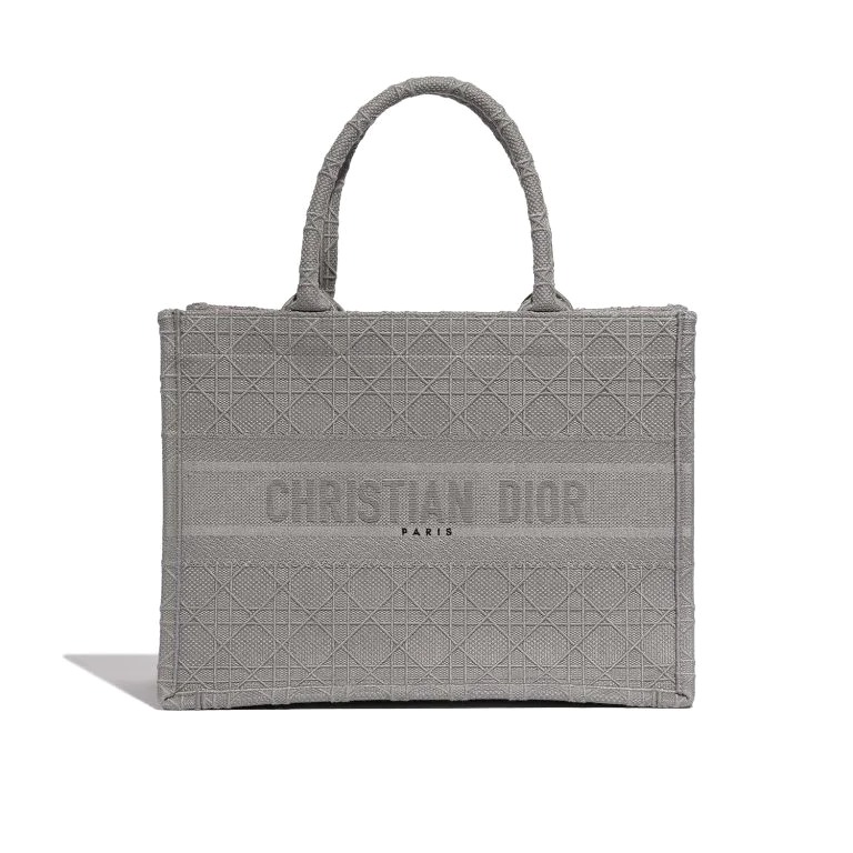 TÚI Dior Book Tote Medium Canvas Grey