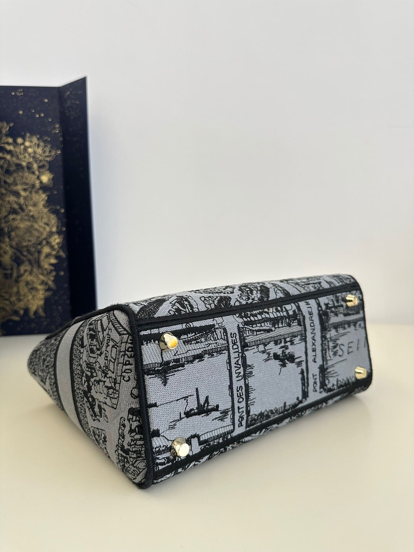 TÚI CHRISTIAN DIOR Lady D-lite Black Toile de Jouy Reverse Embroidery