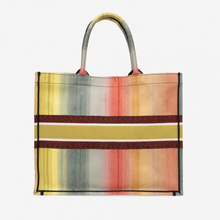 TÚI DIOR Book Tote Large Canvas Multicolour