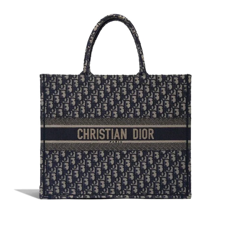 TÚI Dior Book Tote Large Canvas Blue White