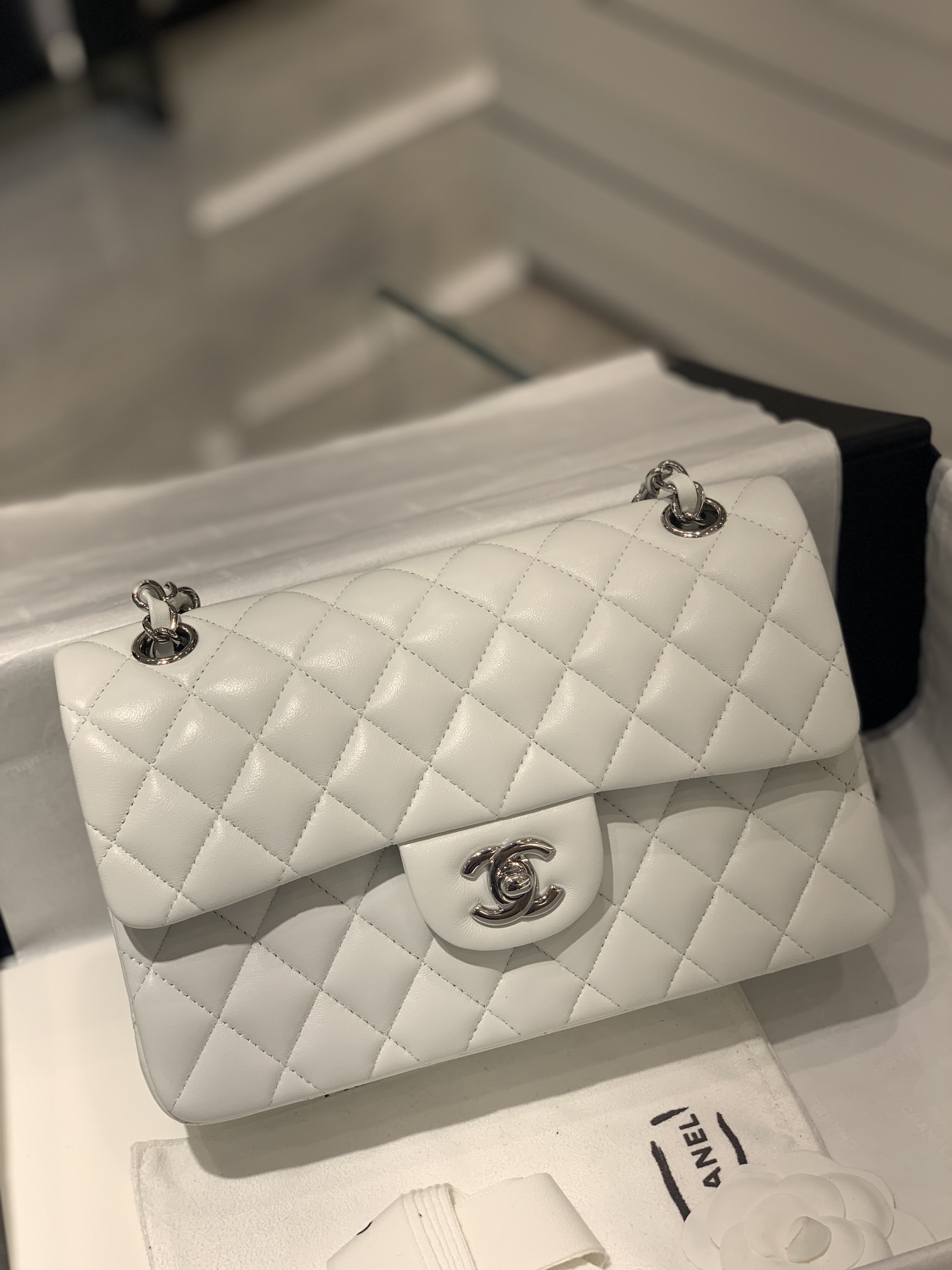 TÚI CHANEL CF 23 BODIN JOYEUX WHITE DA HAAS SILVER
