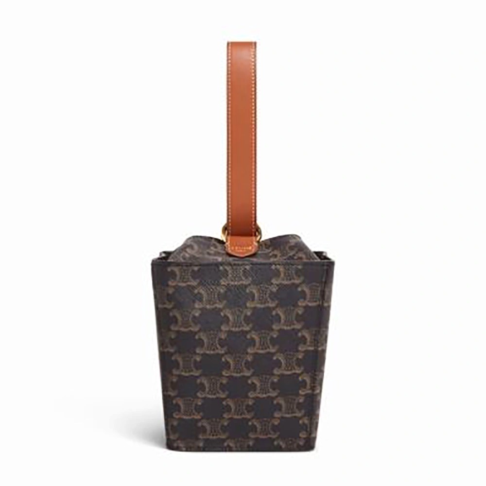 TÚI Celine Strap Box in Triomphe Canvas and Calfskin