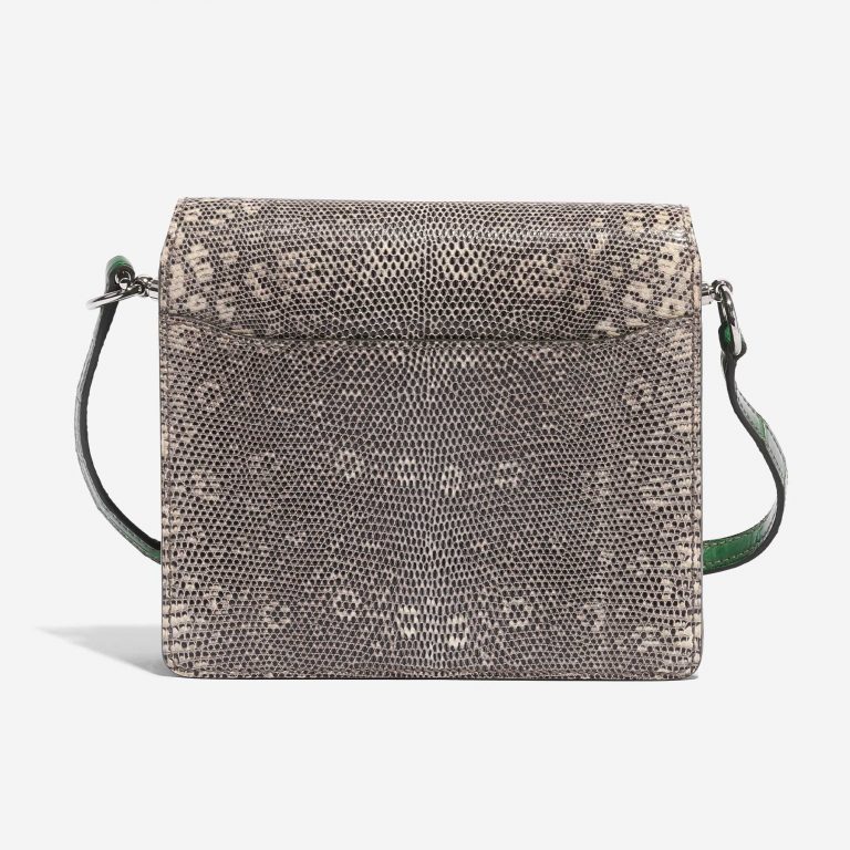 TÚI Hermès Roulis 18 Ombre Lizard Matte Alligator Vert Cactus da thằn lằn Himalayan