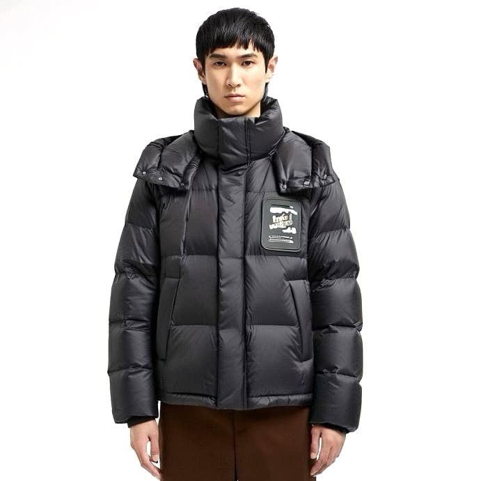 ÁO LOUIS VUITTON DOWN JACKET TOP QUALITY AAA LÔNG NGỖNG TRẮNG