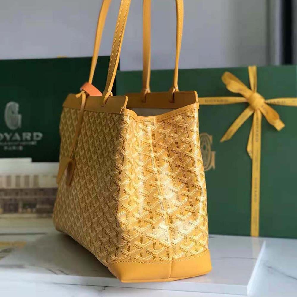 TÚI Goyard Women Bellechasse Biaude PM Bag-Yellow
