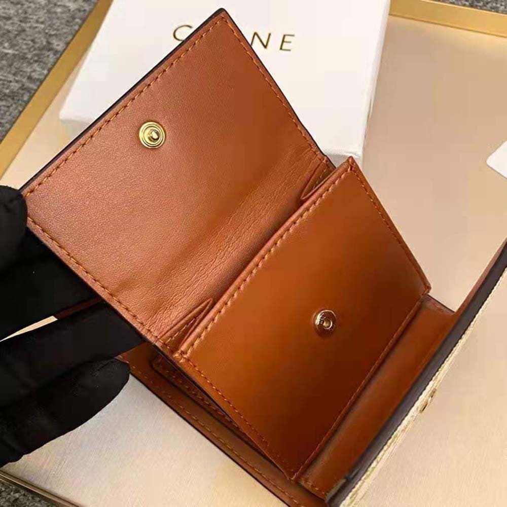 Ví Celine Women Small Triomphe Wallet in Triomphe Canvas