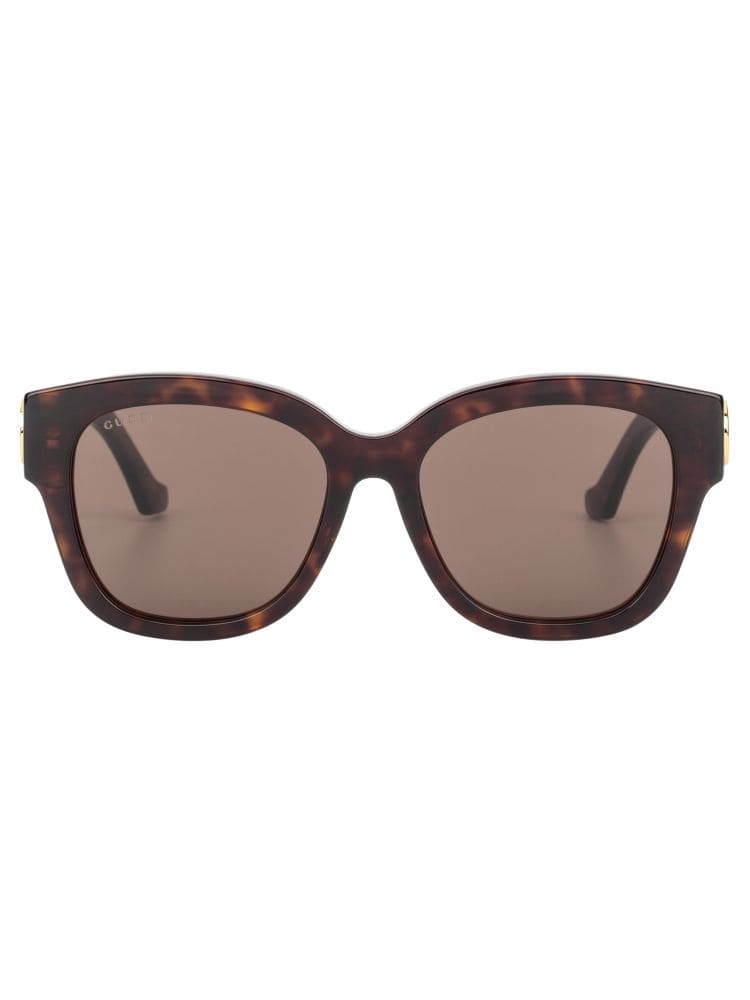 Kính GUCCI TURTLE FRAME HIGH CLASSY AAA