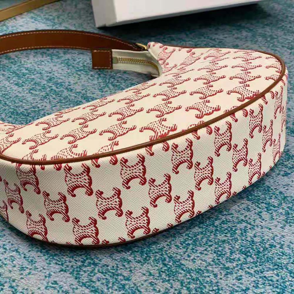 TÚI Celine Women Ava Bag in Triomphe Canvas and Calfskin