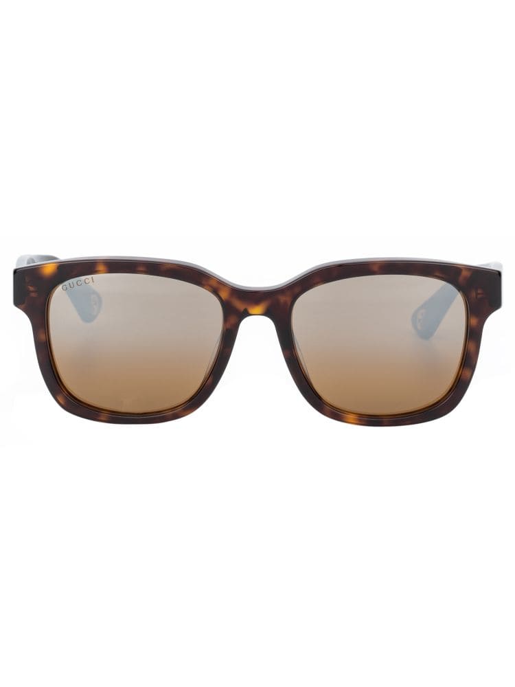 Kính GUCCI TURTLE FRAME HIGH CLASSY AAA