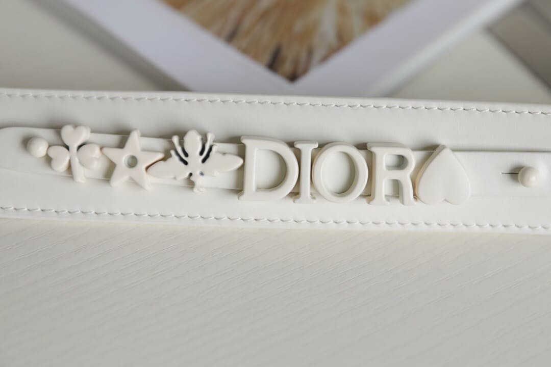 TÚI CHRISTIAN DIOR Small Lady Dior my Abcdior Bag White Cannage Calfskin with Diamond Motif Top Quality