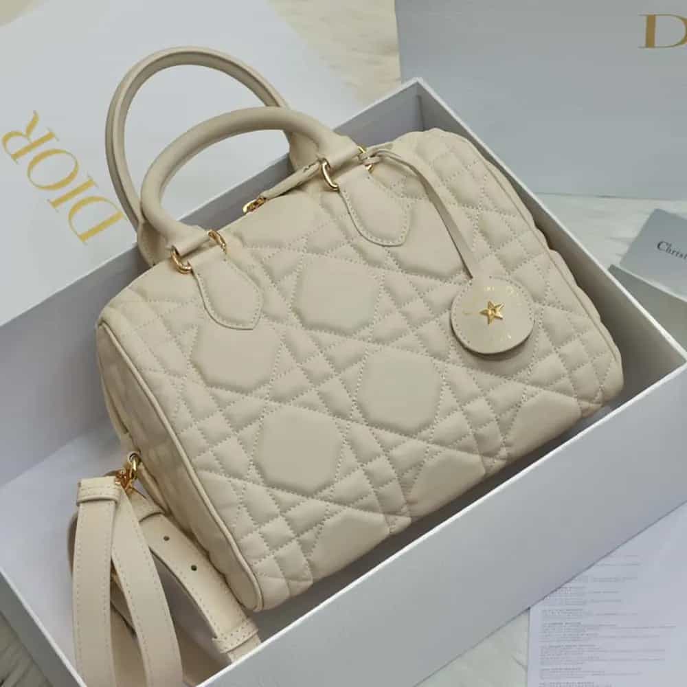TÚI Dior Women Groove 25 Dusty Ivory Macrocannage Calfskin