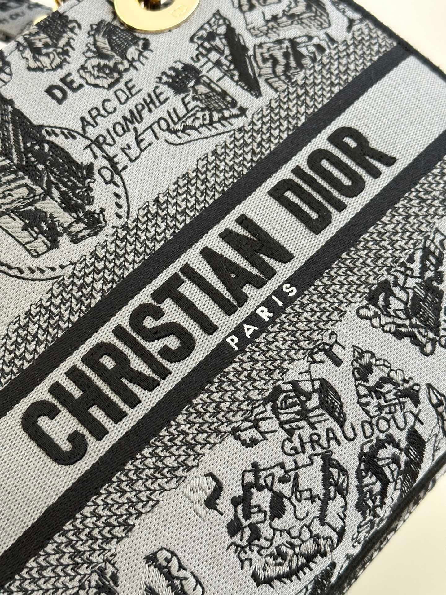TÚI CHRISTIAN DIOR Lady D-lite Black Toile de Jouy Reverse Embroidery