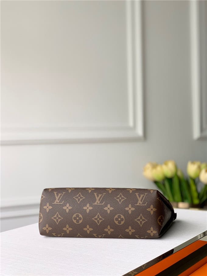 Túi LOUIS VUITTON Pouch handbag