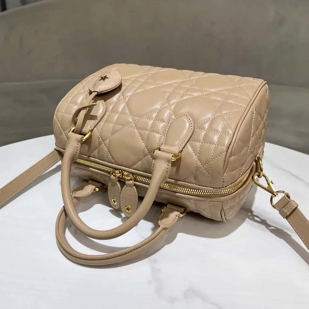 TÚI Dior Women Groove 25 Biscuit Macrocannage Calfskin