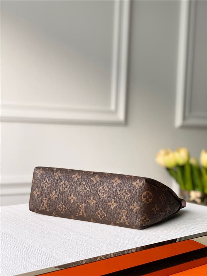 Túi LOUIS VUITTON Pouch handbag
