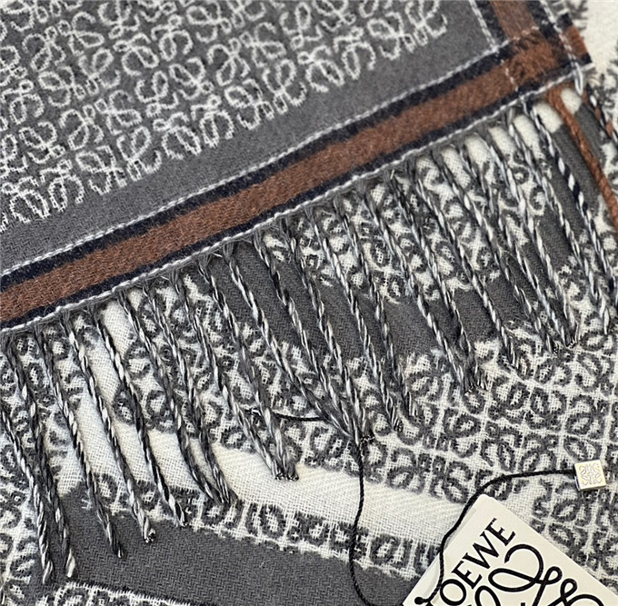 KHĂN LOEWE Cashmere scarf