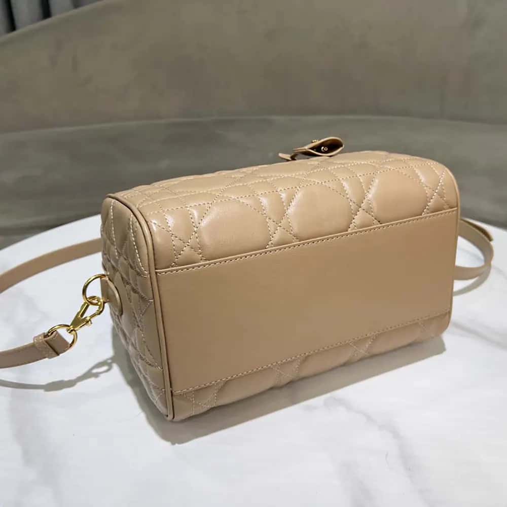 TÚI Dior Women Groove 25 Biscuit Macrocannage Calfskin