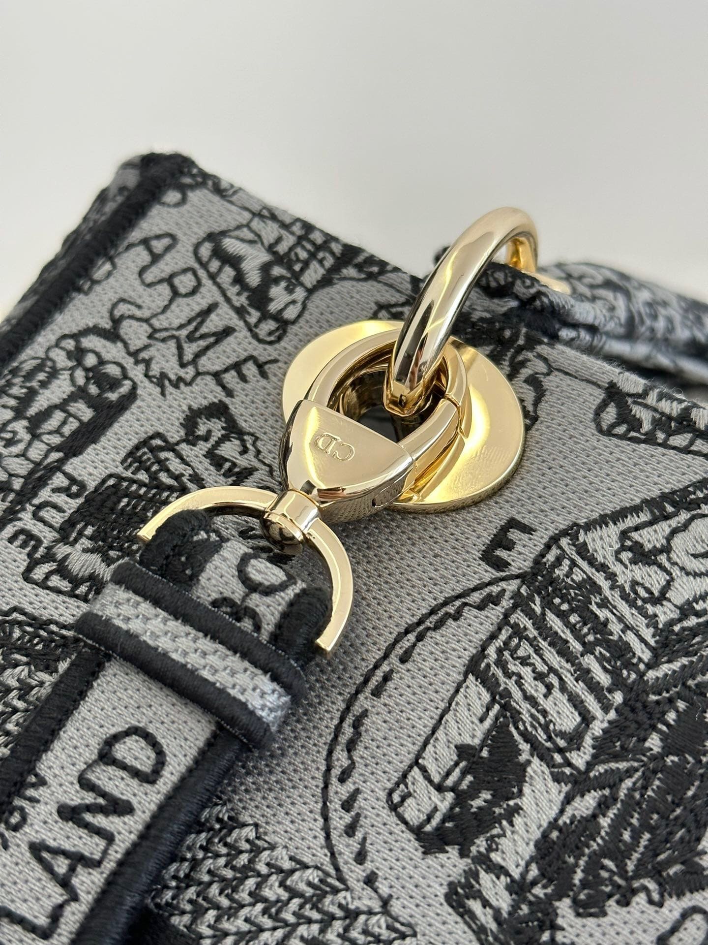 TÚI CHRISTIAN DIOR Lady D-lite Black Toile de Jouy Reverse Embroidery