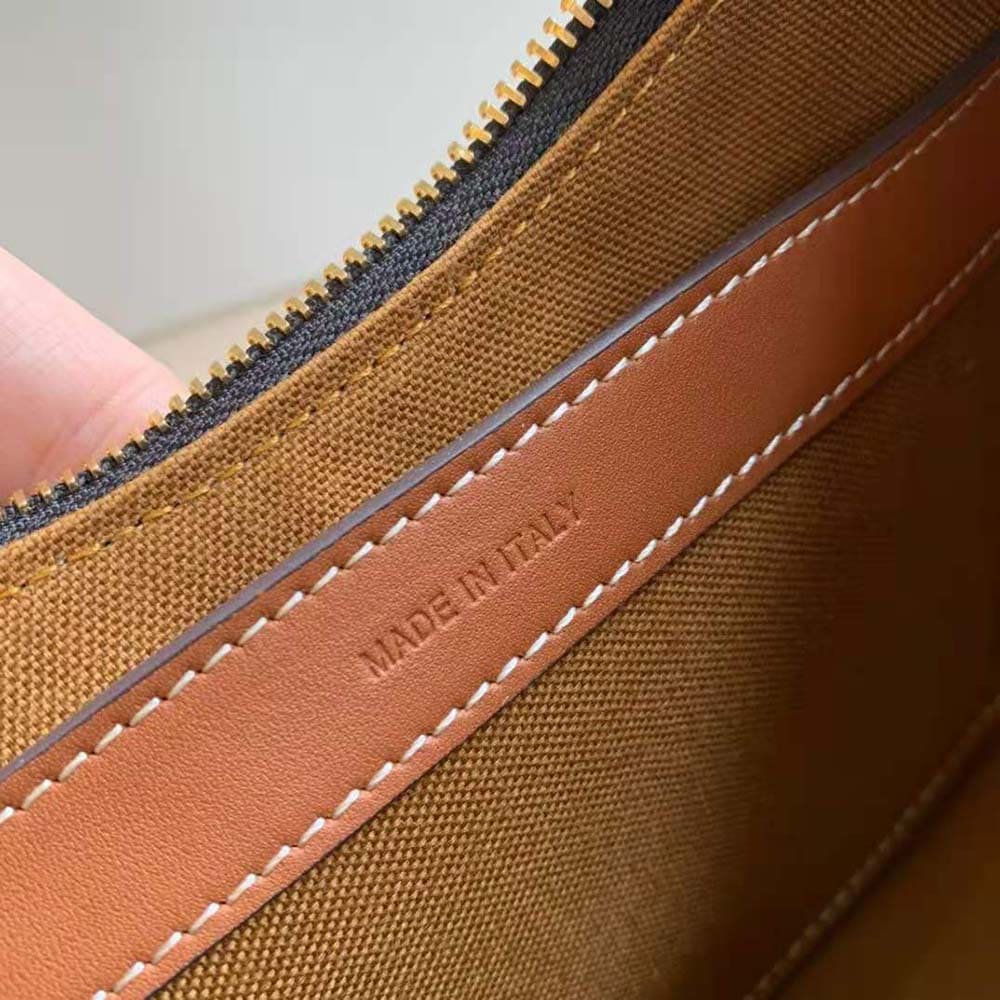 TÚI Celine Women Ava Bag in Triomphe Canvas-Brown