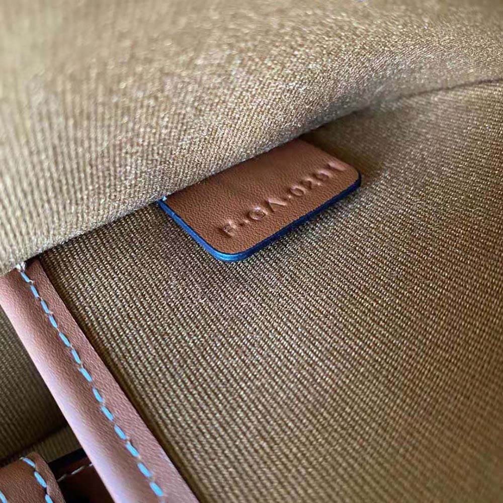 TÚI Celine Women Ava Bag in Triomphe Canvas and Calfskin