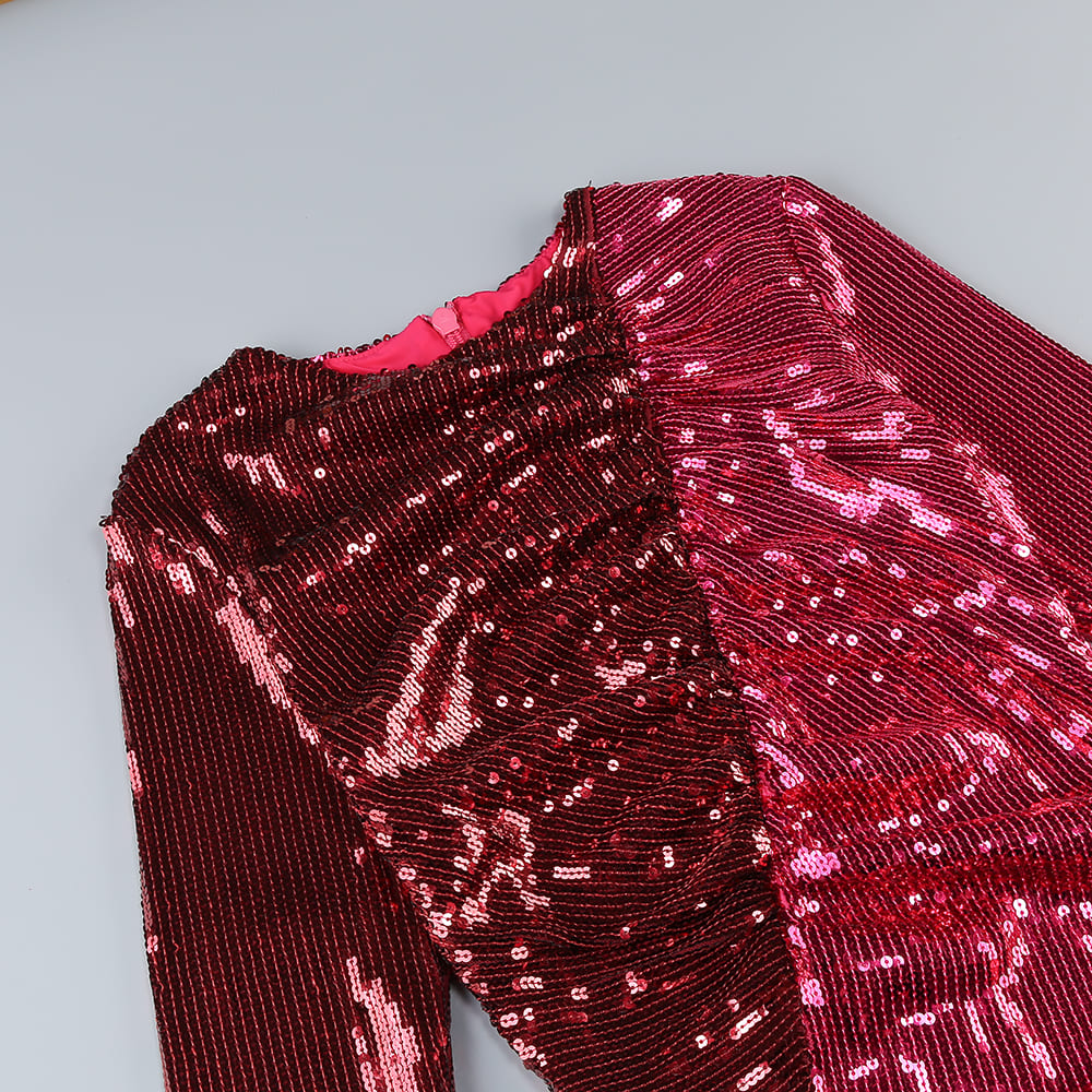 TRANG PHỤC ĐÍNH SEQUIN 15-HÀNG BÁN BUÔN(GIÁ LIÊN HỆ)