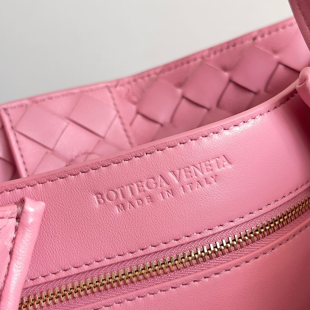 TÚI Bottega Veneta Women Small Andiamo in Lambskin Leather-Pink