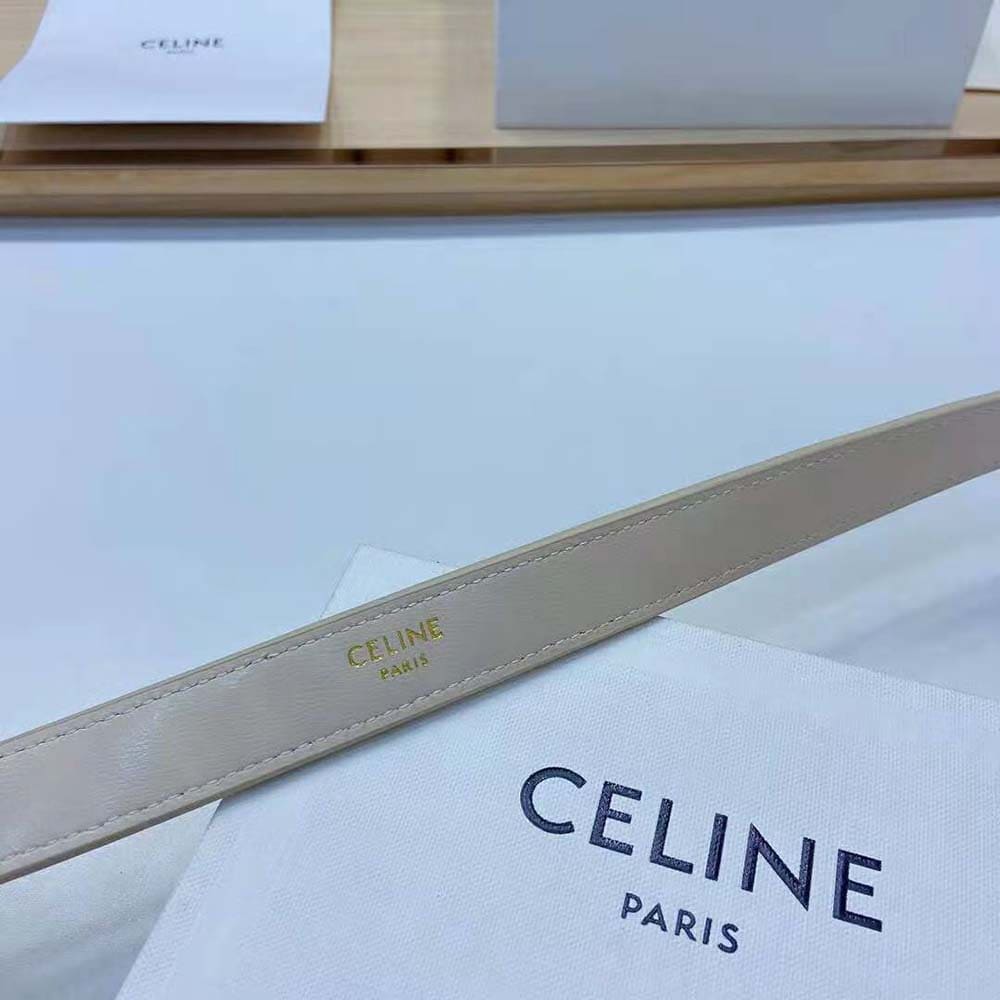 TÚI Celine Women Belt Bag Triomphe Belt in Triomphe Canvas and Calfskin