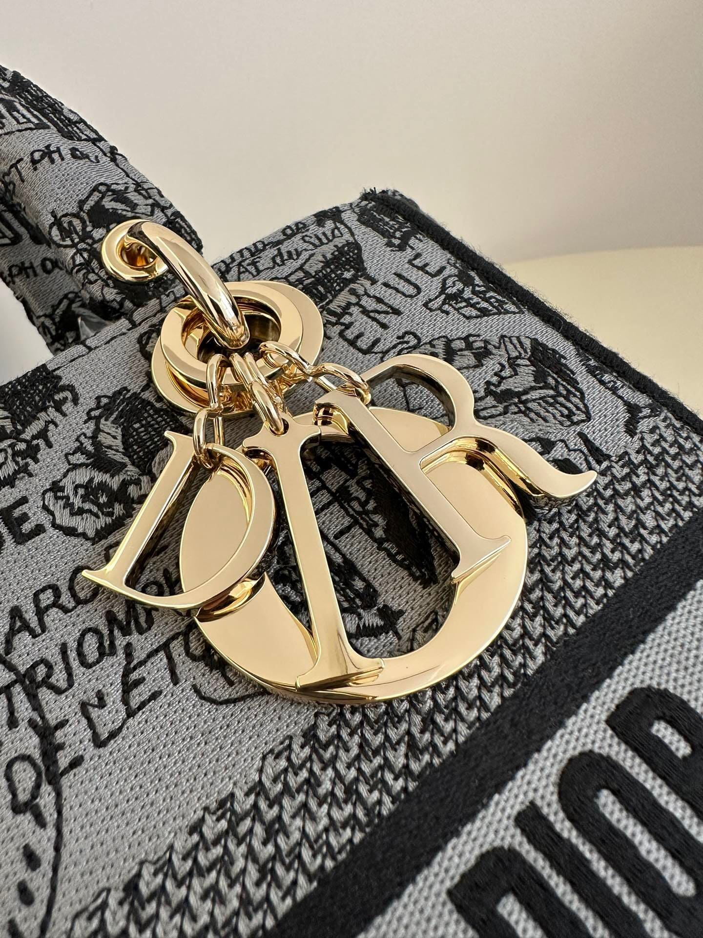 TÚI CHRISTIAN DIOR Lady D-lite Black Toile de Jouy Reverse Embroidery