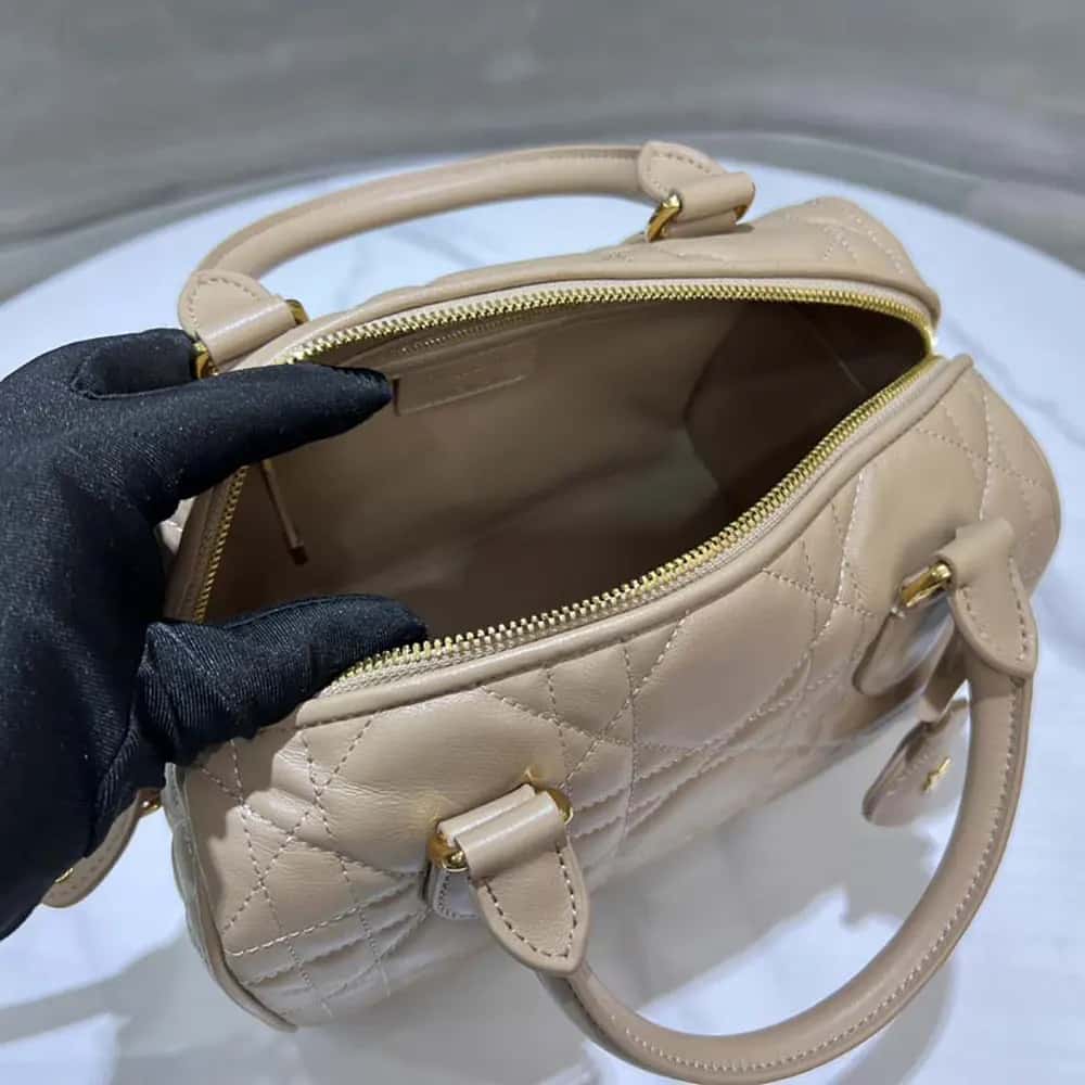 TÚI Dior Women Groove 25 Biscuit Macrocannage Calfskin