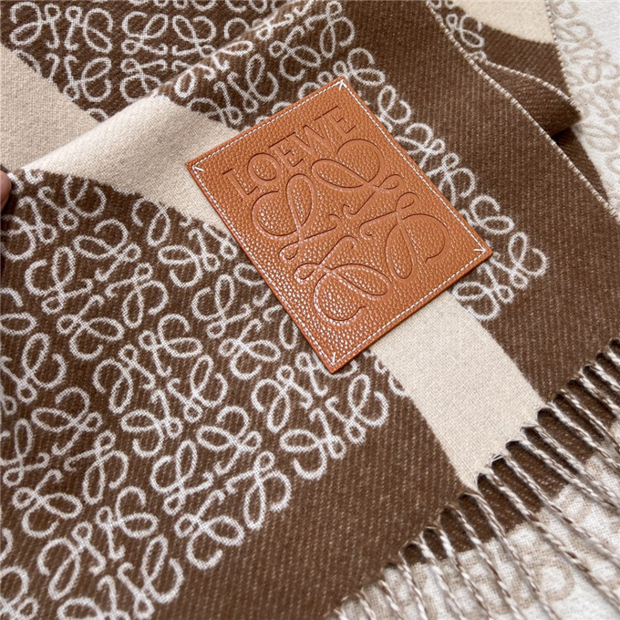 KHĂN LOEWE Cashmere scarf