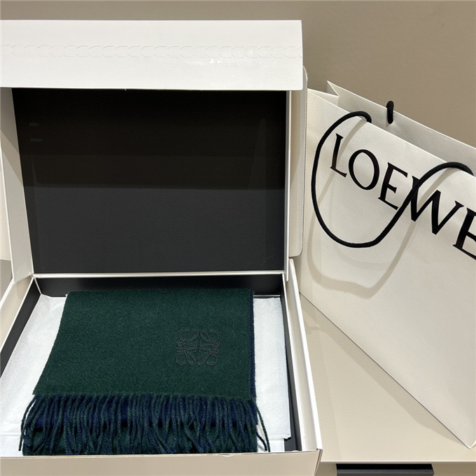 KHĂN LOEWE Cashmere scarf