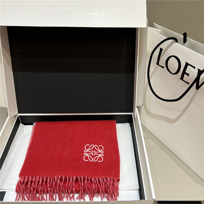 KHĂN LOEWE Cashmere scarf
