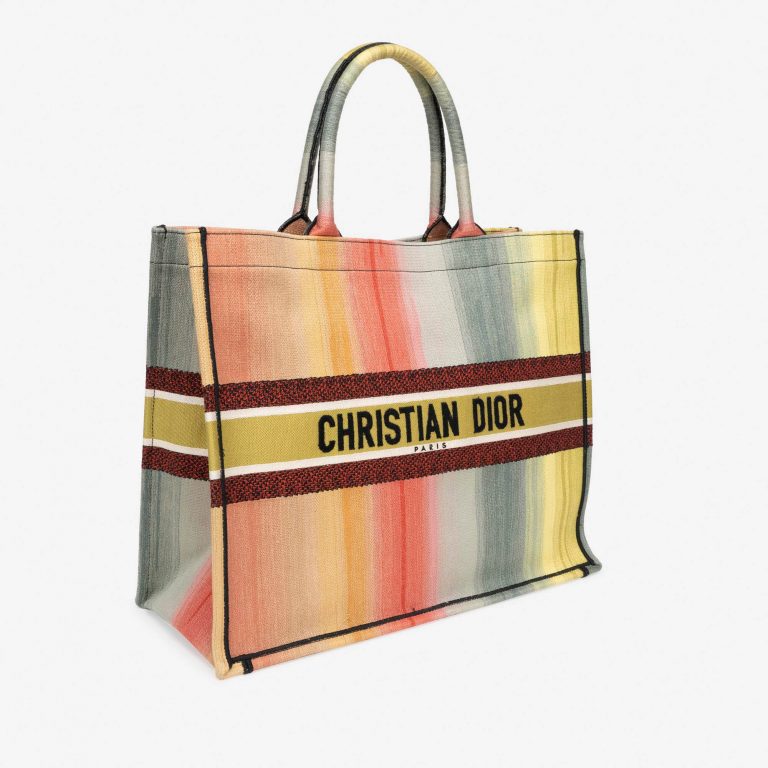 TÚI DIOR Book Tote Large Canvas Multicolour
