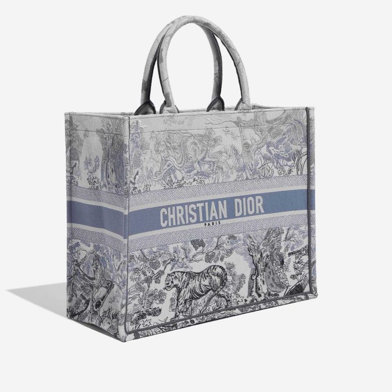 TÚI DIOR Book Tote Large Canvas Blue