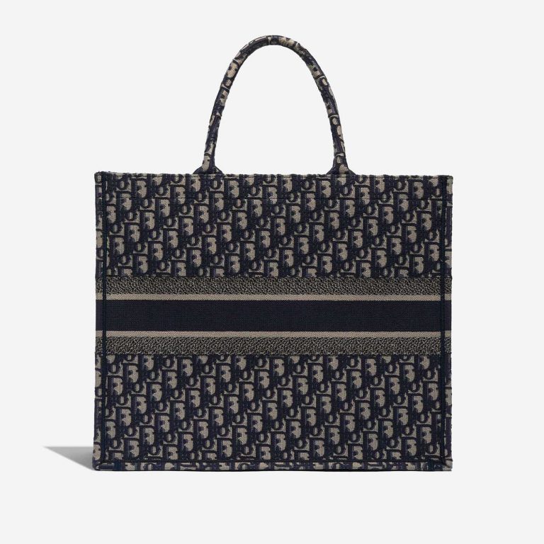 TÚI Dior Book Tote Large Canvas Blue White