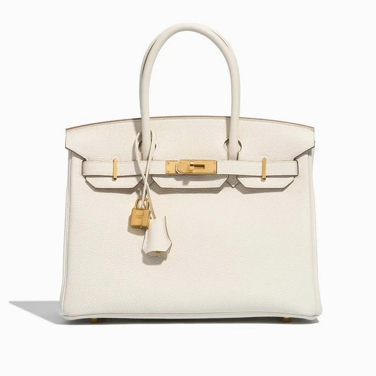 TÚI Hermès Birkin 30 Togo Mushroom