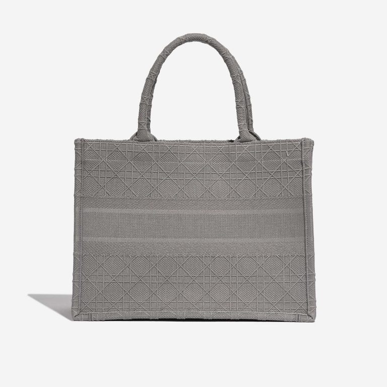 TÚI Dior Book Tote Medium Canvas Grey