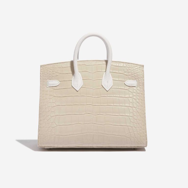 TÚI Hermès Birkin 20 Faubourg Matte Alligator Togo Epsom